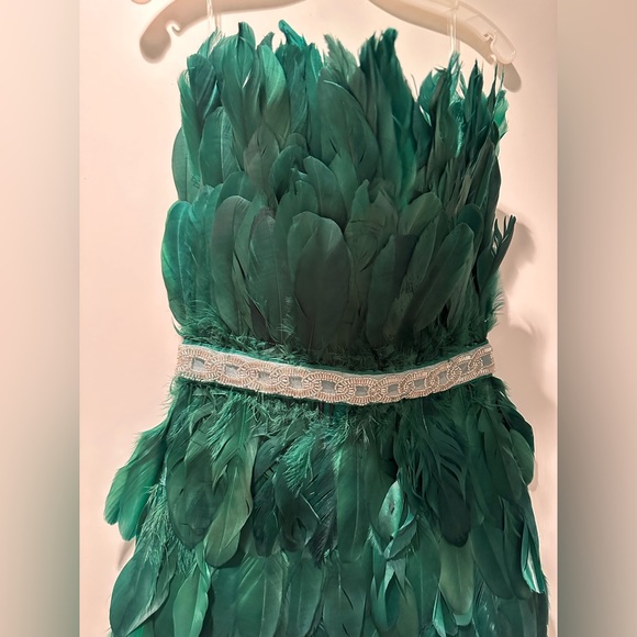 Feather Dress - Picture 4 of 7